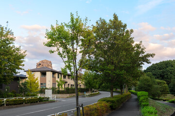 自然が豊かな住宅地と道路