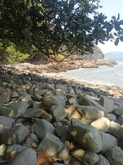 Rocky coastline landscape with waves crashing on rocks and stones under a summer sky