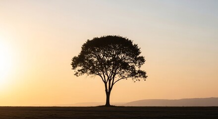 Obraz premium Silhouette of a large tree against a gradient sky at sunset over a field