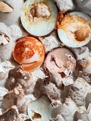 rotten eggshell