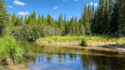 The Colorado RIver in Coyote Valley in Rocky Mountain National Park