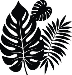 tropical jungle leaves vector  collection of palm .eps