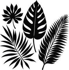 tropical rainforest leaves vector  set of various .eps