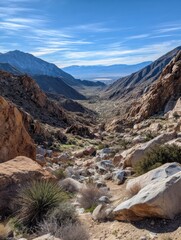 Stunning View of a Mountain Valley With Rocky Terrain, Green Vegetation, and a Clear Blue Sky on a Sunny Day