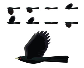 Bird Koel Flying Cartoon Vector Animation Frame