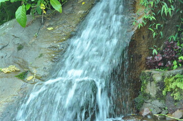 small waterfall in the forest