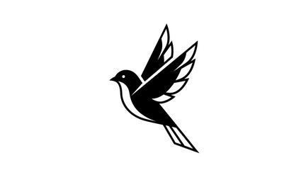 Fototapeta premium Black and white bird flying with wings spread flat illustration