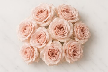 Obraz premium Blush pink garden roses bouquet with dewdrops on marble table and silk ribbon soft daylight macro floral background for luxury wedding design