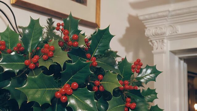 Background Featuring Christmas Holly Leaves and Berries with Ample Room for Text