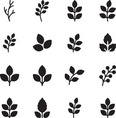 Botanical Elegance: A refined arrangement of stylized botanical elements, embodying the simplistic beauty of natural forms. 