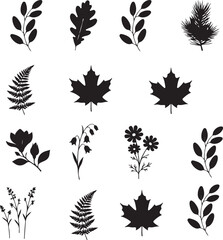 Floral and Foliage Silhouettes: Elegant, monochrome silhouettes of diverse leaves and blossoms, celebrating the quiet elegance of nature, ideal for design and decorative applications.