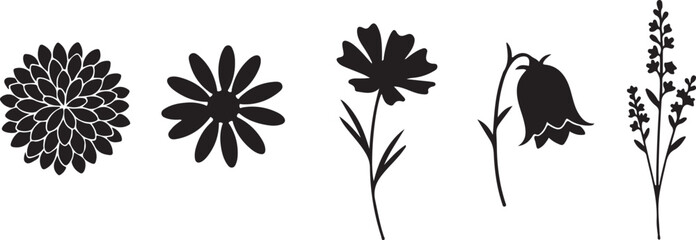 Silhouette of Flowers: A striking monochrome composition unveils an array of elegant flowers and delicate floral elements, evoking a sense of understated elegance.