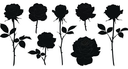 A collection of black roses with stems and leaves distinctive silhouette