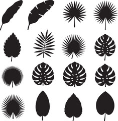 Botanical Silhouette Collection: This image features a meticulously curated collection of botanical leaf silhouettes. The image, in graphic style, with its intricate detailing.