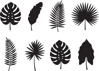 Exotic Leaves Silhouettes: A collection of vibrant, graphic leaf silhouettes, perfect for design projects or conveying the beauty and diversity of the natural world.
