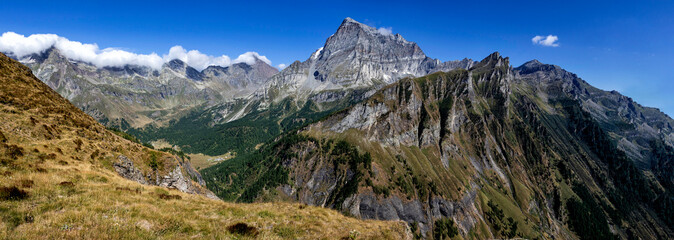Fototapety na wymiar - Fototapeta24.pl