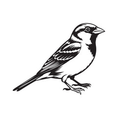 Songbird Artwork in Black and White