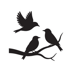 Minimalist Bird Silhouette Illustration. Bird Silhouettes Perched on Branch with Flying Bird