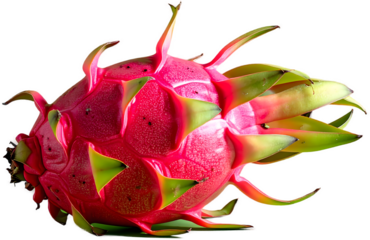 Close-up of a whole, vibrant pink dragon fruit (pitaya) with green scales, isolated against a solid, shadowless green background for food imagery.