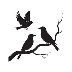 Black Silhouette Birds Vector Design. Bird Silhouettes Perched on Branch with Flying Bird