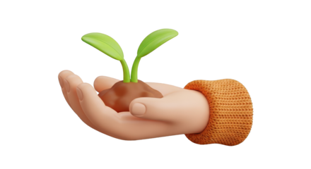 Hand holding seedling with soil and green leaves isolated on a transparent background sprout
