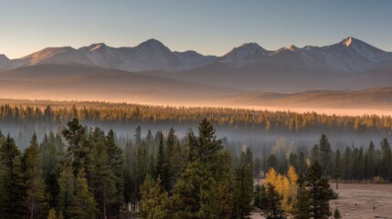 A misty sunrise over a dense pine forest with distant mountains under a clear sky, creating a tranquil and scenic natural landscape