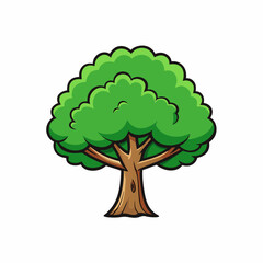 green tree isolated on white