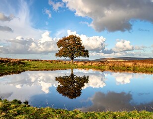 Serene Autumnal Landscape with Reflecting Clouds