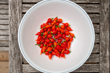 Ripe Red Bequino Peppers ~ Capsicum annum are small, mildly hot chili peppers from Brazil, named for their characteristic 