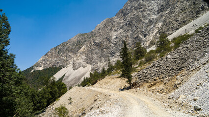summer in the mountains. a beautiful mountain gorge