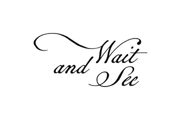 Wait and See - Hand written calligraphic phrase Wait and See
