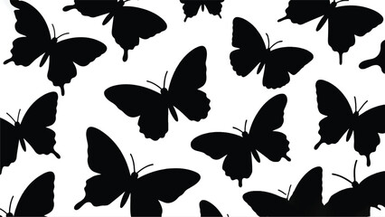 Fototapeta premium Black and White Butterfly Illustrator Artwork Banner Background Design Template 