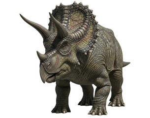 Fototapeta premium Realistic Triceratops Transparent Background