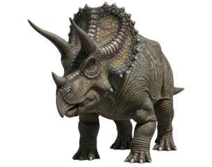 Realistic Triceratops Transparent Background