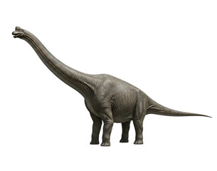 Obraz premium Realistic Brachiosaurus Transparent Background