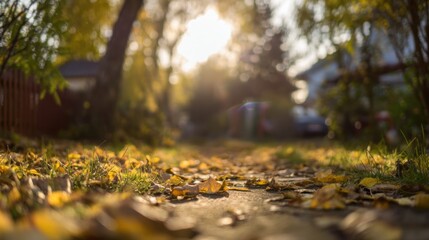vegetation. Autumn garden bathed in warm sunlight with scattered golden leaves and peaceful ambiance. representing seasonal cycles and harvest abundance.