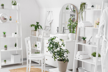Interior of light bathroom with sink, shelf units and plants