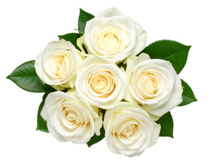 Obraz premium Top-Down View of White Rose Bouquet with Leafy Accents, elegant arrangement, isolated on transparent background PNG