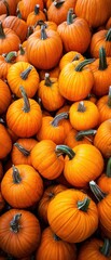 Obraz premium Premium Authentic Orange Pumpkin Autumn Harvest Modern Seasonal Halloween Decorations for Millennial Lifestyle Marketing and Social Media Content