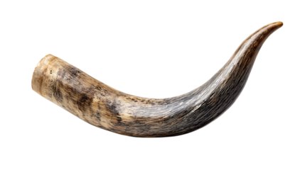Natural ram horn isolated on transparent background