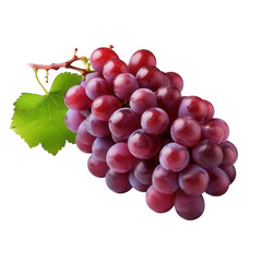 Fototapeta premium A ripe bunch of red grapes with a green leaf, isolated on a transparent background, showcasing the natural beauty and freshness of this healthy fruit, perfect for foodrelated projects and designs