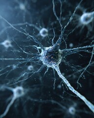 Premium Neural Interface Visualization of Purkinje Cell with Detailed Dendrites in Sophisticated Neural Network for Professional Healthcare and Education Use