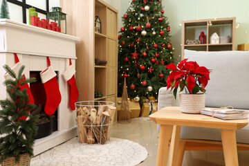 Christmas plant poinsettia with letters to Santa on table in living room