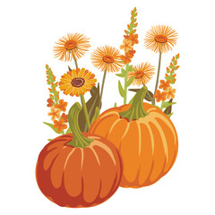 vector drawing pumpkins and flowers, Thanksgiving day decoration, autumn vegetable composition, hand drawn illustration