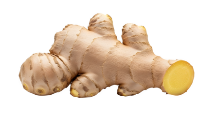 A fresh and invigorating ginger root, known for its pungent flavor and medicinal properties, isolated on transparent background, a culinary and health staple