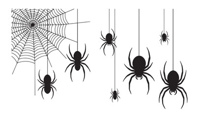 Spiders Descending Awaiting Night