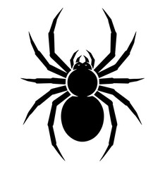 Spider Icon Design