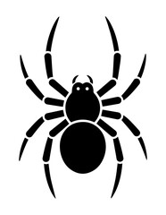 Spider Icon Design