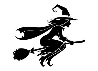 Spider Silhouette On Rock