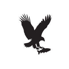 Eagle Silhouette Catching Fish – Bird of Prey Vector Illustration